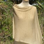 poncho lin sable