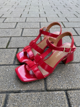 Magasin de chaussures pour femmes dans le centre ville de Nantes